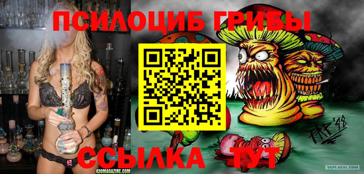 Псилоцибиновые грибы Cubensis Коркино