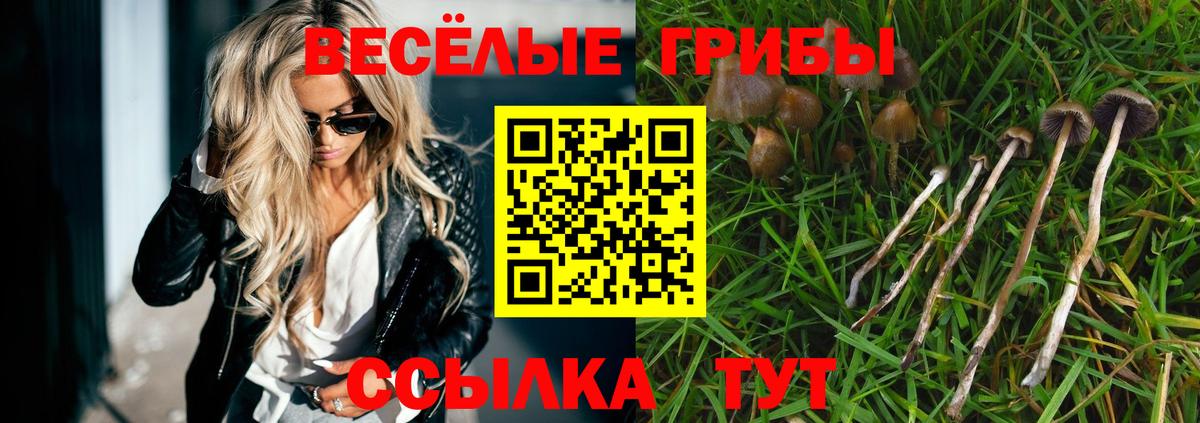 Коркино  Галлюциногенные грибы мухоморы  Вход с VPN  Псилоцибиновые грибы мухоморы 
